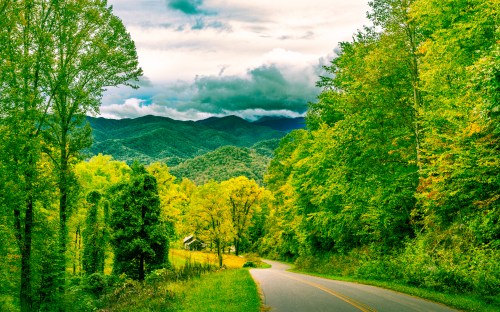 A winding road through lush green trees, with mountains and a cloudy sky in the background.