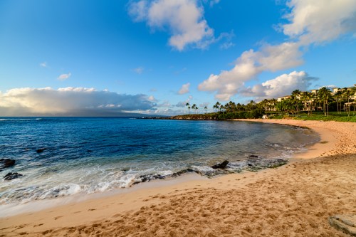 A serene beach scene with golden sand, gentle waves, and palm trees under a blue sky with fluffy clouds.