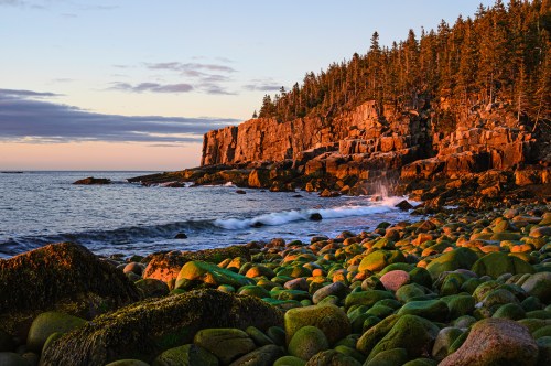 A rocky shoreline at sunset, with green moss-covered stones and a forested cliff in the background.