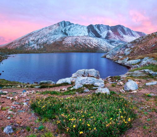 A serene mountain lake surrounded by rocky terrain and blooming wildflowers, with snow-capped peaks in the background.