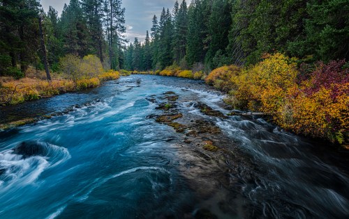 A serene river flows through a forest, surrounded by vibrant autumn foliage and tall evergreen trees.