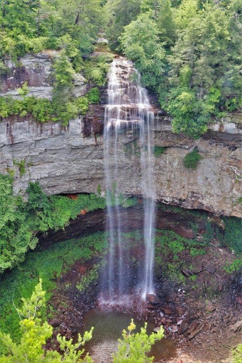 A stunning waterfall cascades down rocky cliffs, surrounded by lush green trees and a serene pool below.