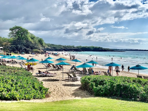 A sunny beach scene with turquoise umbrellas, people swimming, and lush greenery in the foreground.
