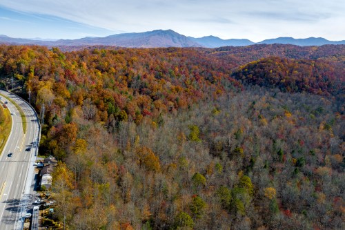 Aerial view of a colorful autumn forest beside a winding road, with mountains in the background under a clear sky.