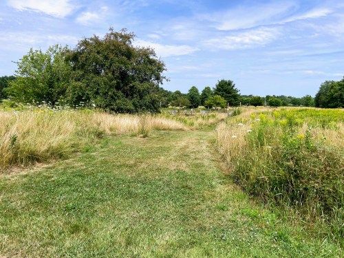 A grassy path leads through tall grass and wildflowers under a blue sky with scattered clouds.