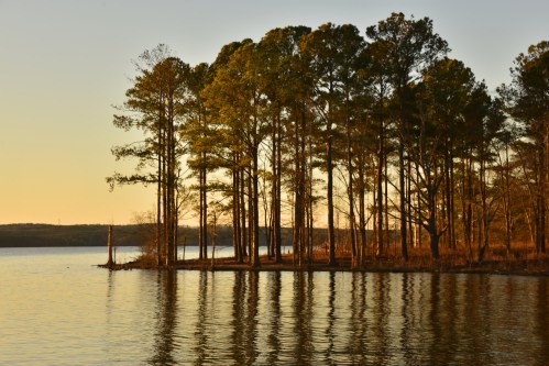 A serene lake scene at sunset, featuring tall trees reflecting on the water's surface.