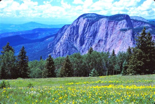 A vibrant landscape featuring a mountain backdrop, lush green trees, and a field of colorful wildflowers under a blue sky.
