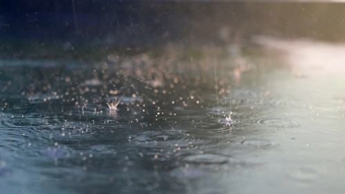Raindrops create ripples on a reflective surface, with soft light illuminating the scene.