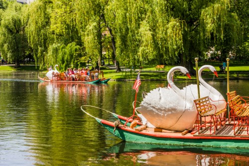 Two swan-shaped boats on a serene lake, surrounded by lush greenery and people enjoying a sunny day.