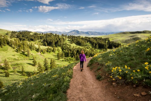A person walks along a dirt path through a lush green landscape with mountains in the background and wildflowers.