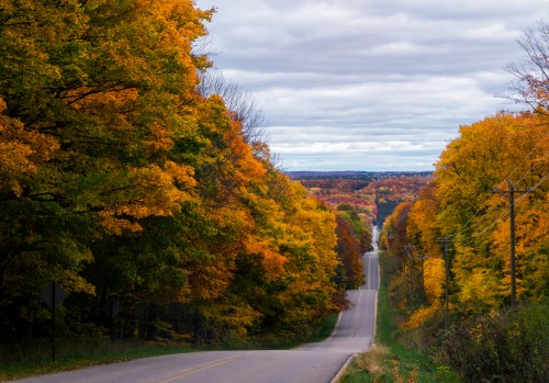 A winding road lined with vibrant autumn trees in shades of orange and yellow under a cloudy sky.