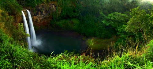A lush green landscape featuring a waterfall cascading into a serene pool surrounded by dense foliage.