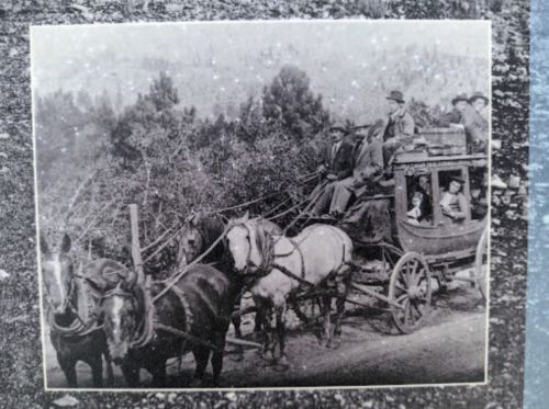 A vintage black-and-white photo of a horse-drawn stagecoach with passengers and drivers in a natural setting.