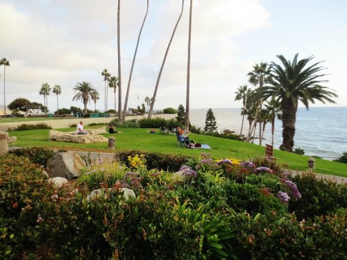 A coastal park with palm trees, colorful flowers, and people relaxing by the ocean under a partly cloudy sky.