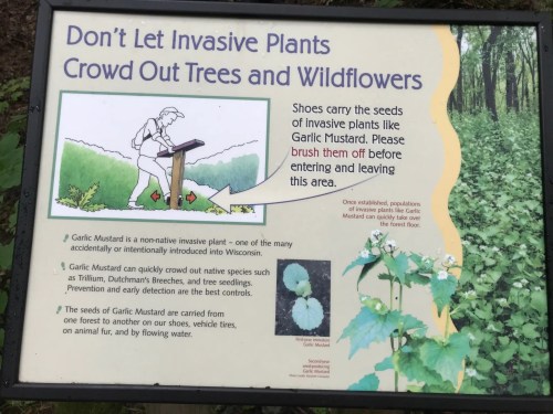 Sign about invasive plants, emphasizing the need to clean shoes to prevent spreading garlic mustard in Wisconsin forests.
