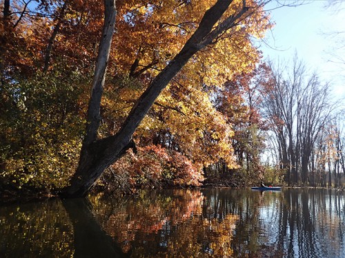 A serene lake surrounded by vibrant autumn trees, reflecting colorful foliage on the water's surface.