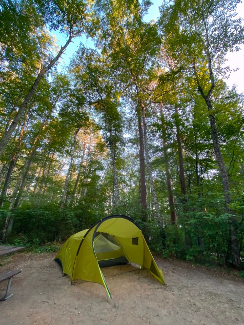A green tent set up in a forest clearing, surrounded by tall trees and dappled sunlight.