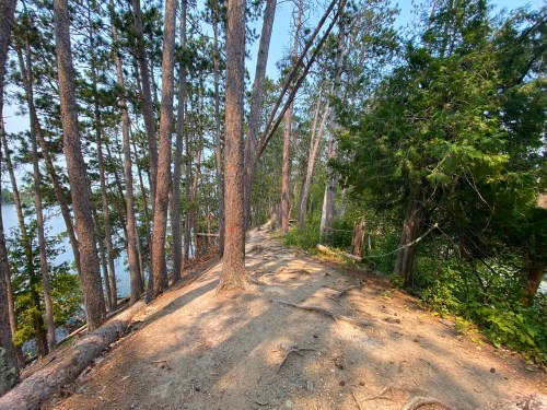 A narrow dirt path winds through tall trees beside a calm lake, with sunlight filtering through the foliage.