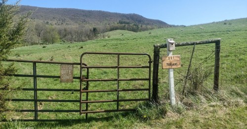 A metal gate with signs reading "Close Gate Cows" and "Trailhead" in a grassy landscape with hills in the background.