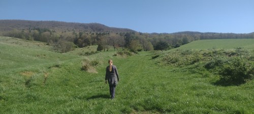 A person walks through a lush green field, surrounded by hills and trees under a clear blue sky.