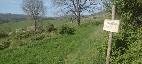 A wooden sign points towards a trail, surrounded by green grass and trees under a clear blue sky.