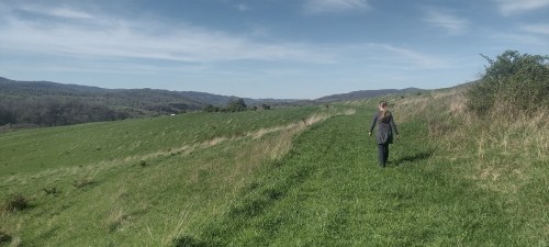 A person walks along a grassy path with rolling hills and a clear blue sky in the background.