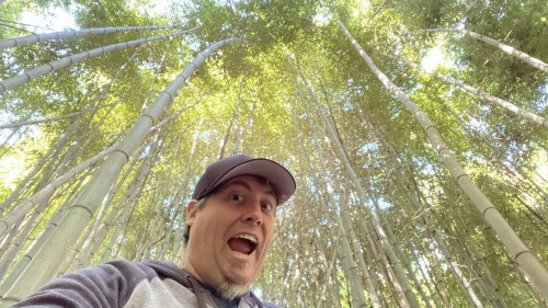 A person smiling and posing in a lush bamboo forest, looking up at the tall bamboo stalks above.