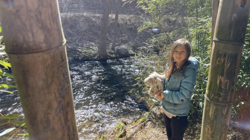 A girl in a blue jacket stands by a stream, holding a small animal, surrounded by bamboo.