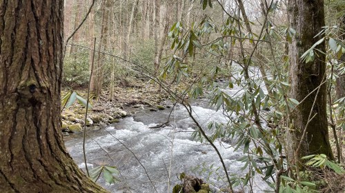 A serene river flows through a forest, surrounded by trees and greenery, with rocks visible in the water.