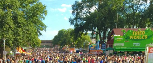 A large crowd at a fair, with colorful booths and signs, under a clear blue sky surrounded by trees.