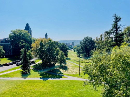 A sunny view of a green campus with trees, pathways, and distant buildings under a clear blue sky.