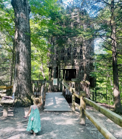 A child in a green dress walks towards a treehouse surrounded by tall trees and a wooden pathway.