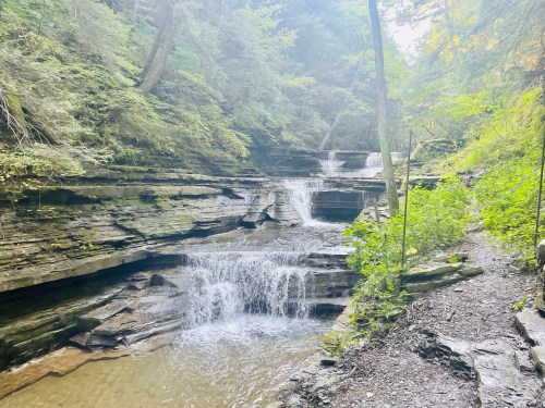 A serene forest scene featuring a cascading waterfall over rocky terrain, surrounded by lush greenery.