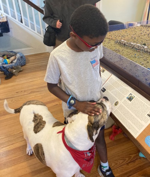 A child in a gray shirt pets a friendly dog wearing a red bandana in a museum setting.