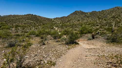 A rocky desert landscape with sparse vegetation and distant hills under a clear blue sky.