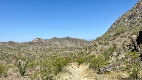 A rocky desert landscape with sparse vegetation and distant mountains under a clear blue sky.