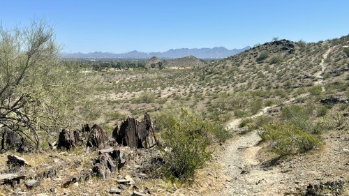 A desert landscape with rocky terrain, sparse vegetation, and distant mountains under a clear blue sky.