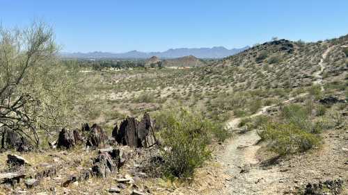 A desert landscape with rocky terrain, sparse vegetation, and distant mountains under a clear blue sky.