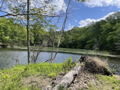 A serene lake surrounded by lush greenery and trees under a partly cloudy sky.
