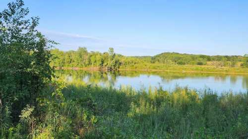 A serene landscape featuring a calm river surrounded by lush greenery and trees under a clear blue sky.