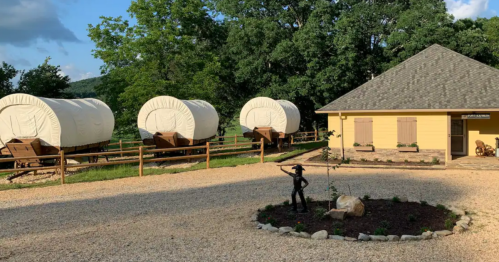 Three covered wagons are parked near a yellow building, surrounded by a gravel path and greenery.