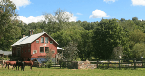 A red barn surrounded by trees and horses grazing in a green field under a blue sky with fluffy clouds.