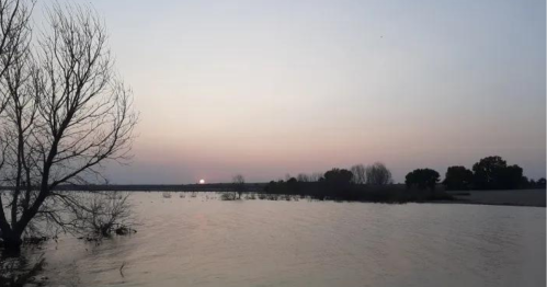 A serene landscape at dusk, featuring a calm water body, silhouetted trees, and a soft sunset in the background.