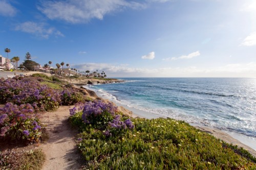 Coastal view with purple flowers, sandy beach, and gentle waves under a blue sky with scattered clouds.