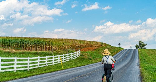 Boy riding a bicycle along a country road.