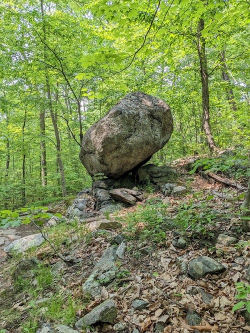 A large boulder balanced on smaller rocks, surrounded by lush green trees and foliage in a forested area.