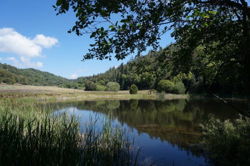 A serene lake surrounded by lush greenery and trees, reflecting the blue sky and distant hills.