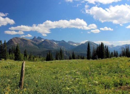 A scenic view of mountains under a blue sky, with green meadows and scattered trees in the foreground.