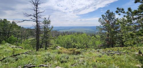 A scenic view of a lush green landscape with trees and distant mountains under a partly cloudy sky.