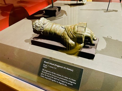 Fragment of a bronze statue depicting a lion's paw, displayed on a pedestal with an informational plaque.